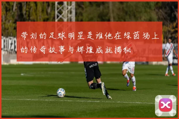 带刘的足球明星是谁他在绿茵场上的传奇故事与辉煌成就揭秘
