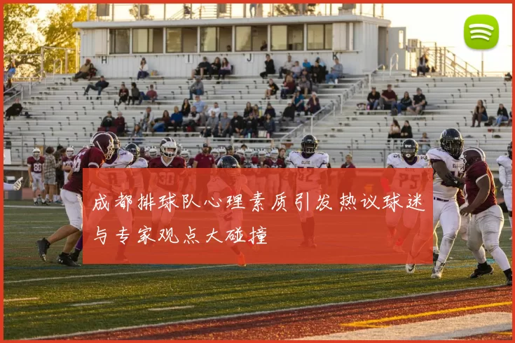 成都排球队心理素质引发热议球迷与专家观点大碰撞