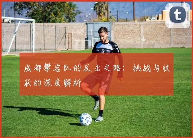成都攀岩队的反击之路：挑战与收获的深度解析