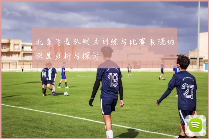 北京飞盘队耐力训练与比赛表现的深度分析与探讨