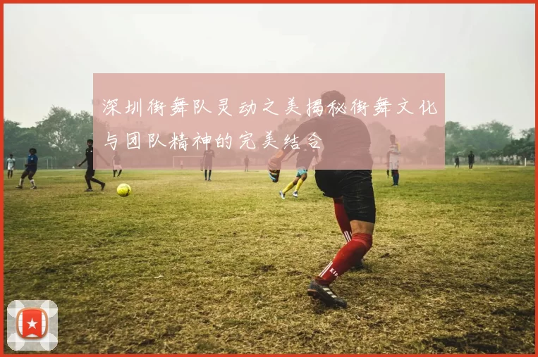 深圳街舞队灵动之美揭秘街舞文化与团队精神的完美结合