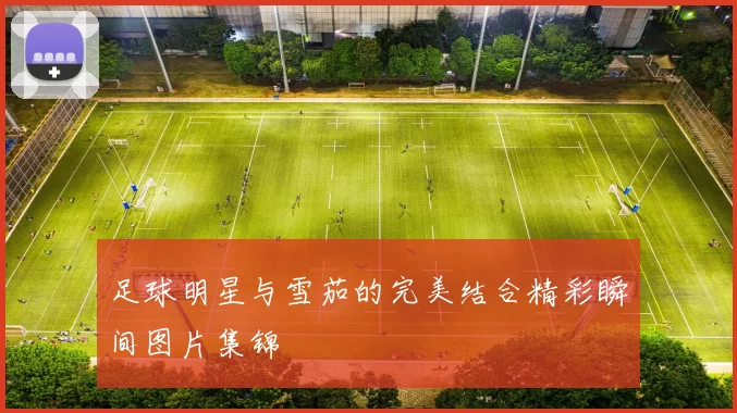 足球明星与雪茄的完美结合精彩瞬间图片集锦