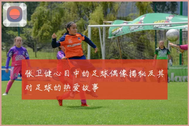 张卫健心目中的足球偶像揭秘及其对足球的热爱故事