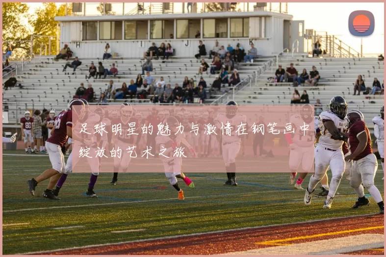 足球明星的魅力与激情在钢笔画中绽放的艺术之旅